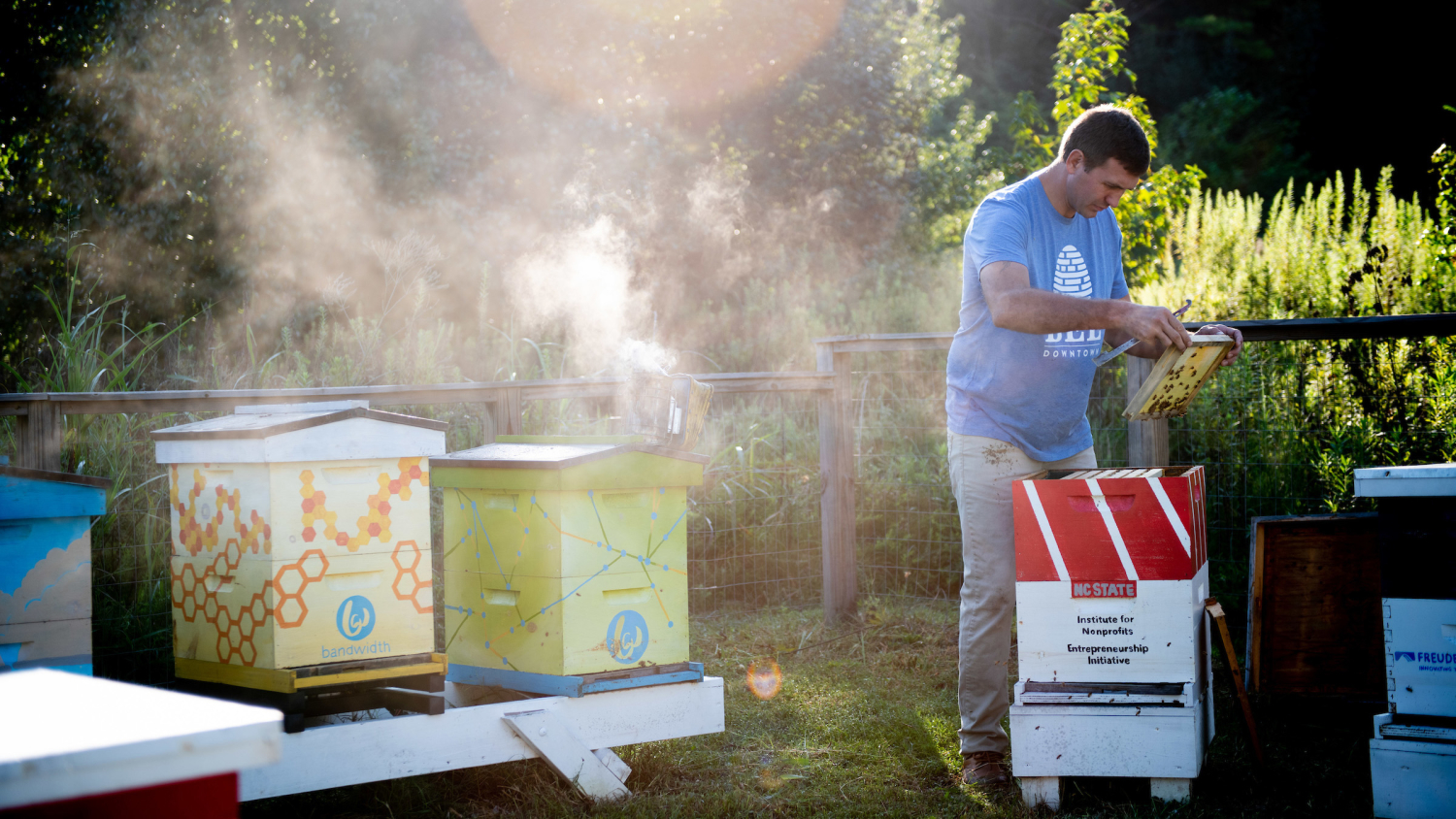 Bandwidth sponsors Bee Downtown's community apiary on Centennial Campus, home to 15,000 honey bees.